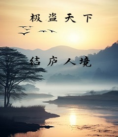 极盗天下