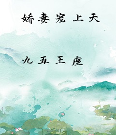 娇妻宠上天