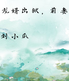 龙婿出狱，前妻悔不当初