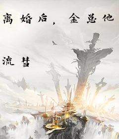 离婚后，金总他被判无妻徒刑了