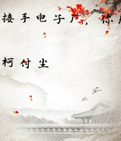 接手电子厂，你居然创建实业帝国