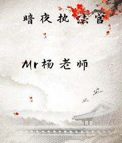 暗夜执法官