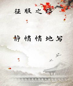 征服之路