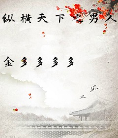 纵横天下之男人四十