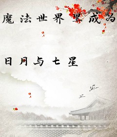 魔法世界里成为拳神