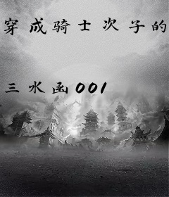 穿成骑士次子的我有个聊天群