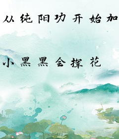 从纯阳功开始加点