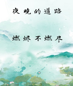 夜晚的道路