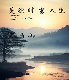 美综财富人生