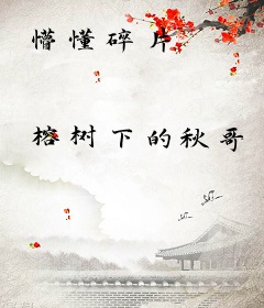 懵懂碎片