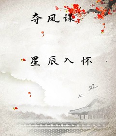 夺凤谋