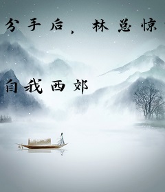 分手后，林总惊觉他才是替身
