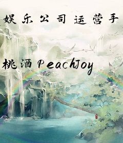 娱乐公司运营手册[经营]