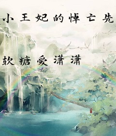 小王妃的悼亡先生