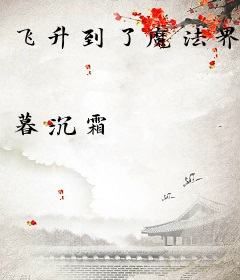 飞升到了魔法界