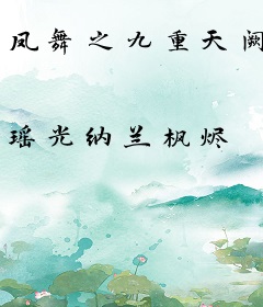 凤舞之九重天阙