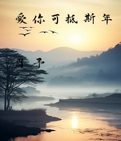 爱你可抵斯年