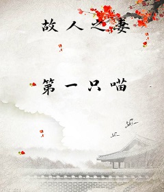 故人之妻
