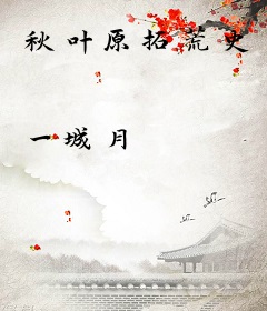 秋叶原拓荒史