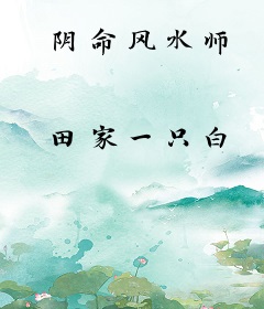 阴命风水师