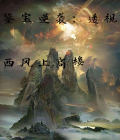 鉴宝逆袭：透视无敌手