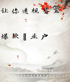 让你透视鉴宝，你特么一直乱看