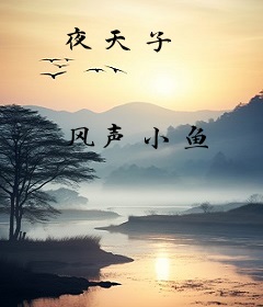 夜天子
