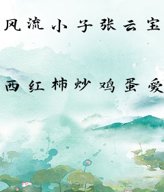 风流小子张云宝