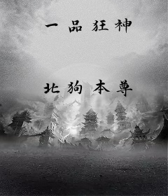 一品狂神