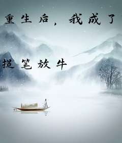重生后，我成了市委书记的女婿