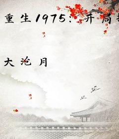 重生1975：开局撕毁回城调令