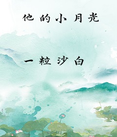 他的小月光