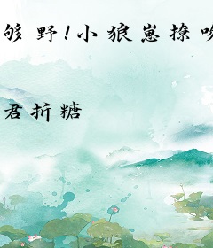 够野！小狼崽撩吻律师美人