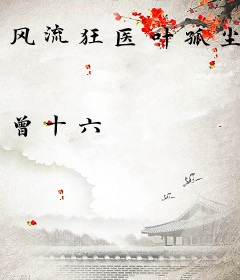 风流狂医叶孤尘