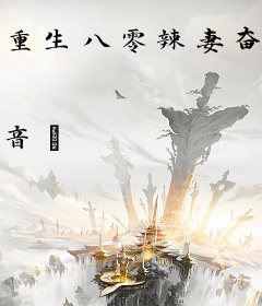 重生八零辣妻奋斗史