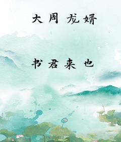 大周龙婿