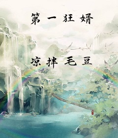 第一狂婿
