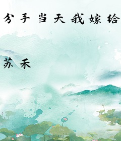 分手当天我嫁给了豪门继承人