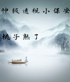神级透视小保安