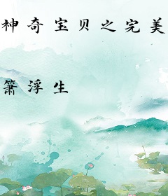 神奇宝贝之完美世界