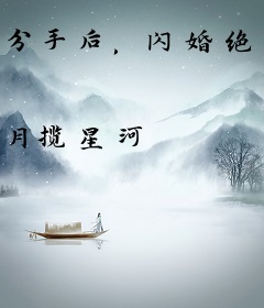 分手后，闪婚绝美女总裁