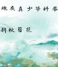 炮灰真少爷科举升官日常