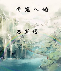 恃宠入婚