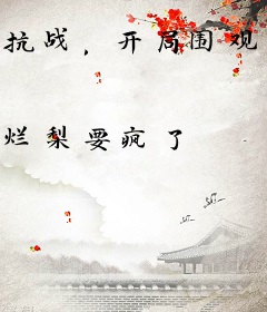 抗战，开局围观啤酒馆暴动被抓