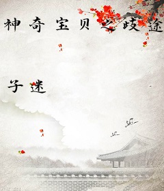 神奇宝贝之歧途