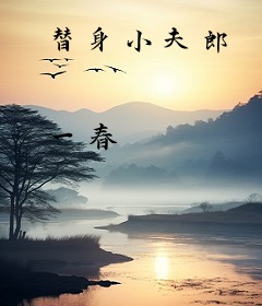 替身小夫郎