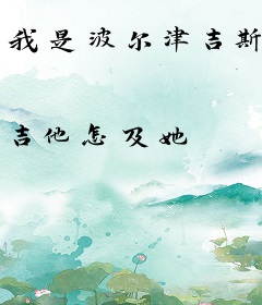我是波尔津吉斯
