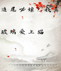 追尾必嫁？我真不知你是大明星啊