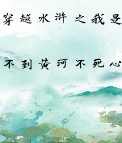穿越水浒之我是林冲