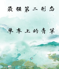 最强第二形态